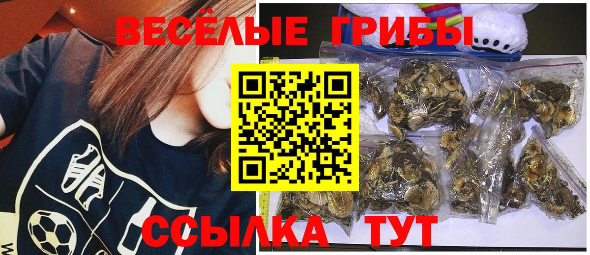 Галлюциногенные грибы Magic Shrooms Рузаевка